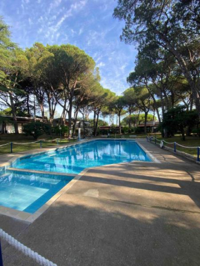 Duna Romantica nella pineta con piscina e parcheggio